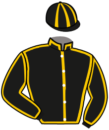 JAILBIRD HILLPERON TF(BE)