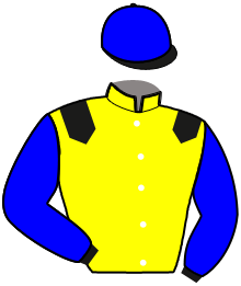 IVOIRE DAIRPET