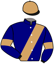 IRON D'ESPOIR