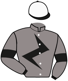 NESTOR SCHERMER