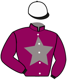 HARLEY DU RAFHAY