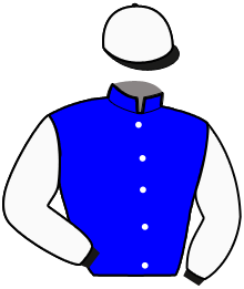 NEMO DU BOCAGE