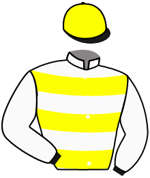 JOJO JUNIOR