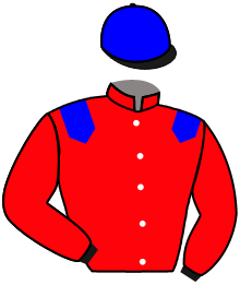 ROI DE L'AIR