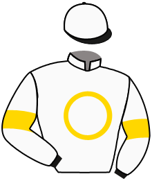 MARKET RUNNER