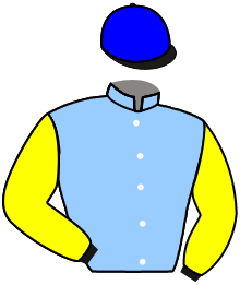 PORTON DE HIERRO