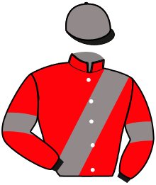 JUSTESS VIKING