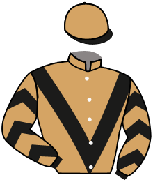 NECTAR VERGOIGNAN