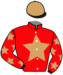 NOVA CASTELETS