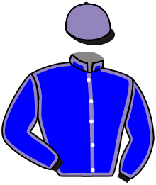 MONT STEELE