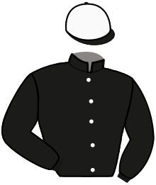 NATCHELLO GLYCINES