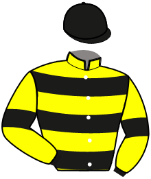 L'AMIRAL DU SAPTEL