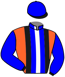 THE GUANTECITO