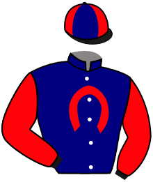 MISTER COQUETTE