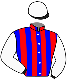 CALIDOSTATICA