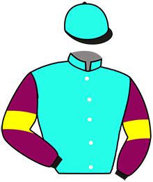 NEAT COLT
