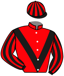 VICTOR VITAE