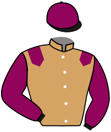 MERLE NOIR