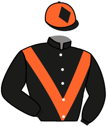 ROI TREZY