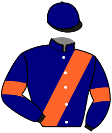 LOGO DE BERTRANGE