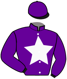 MINI LULU