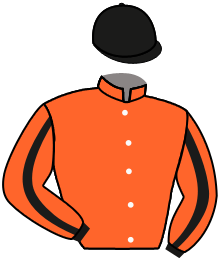 SENOR DEL PUERTO
