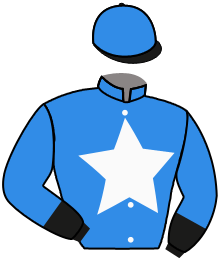 EL IRIDICENTE