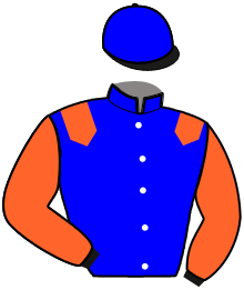 MELODISYVA