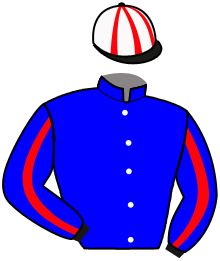 JARDAR JR.