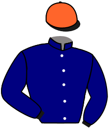 BULREO DESJY