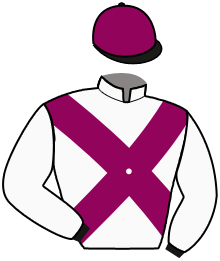 WINNER HORSE