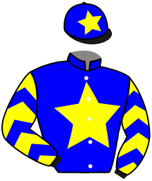 SAMAGACE DU VIVIEN