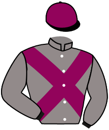 SILVER SCHNOK