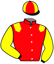 JUMBO D'AUVILLIER