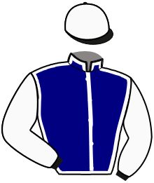 JAVELOT DE HOUELLE