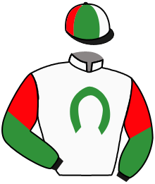SILVIDO FIL