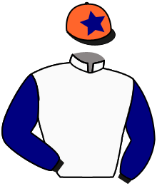 TIGER ROCK