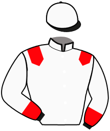 LE PETIT JEU