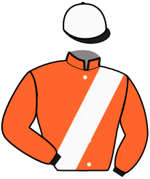 RONNY D'HOEVE