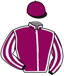 JAVA RAJA