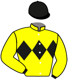 IL MAGISTERO