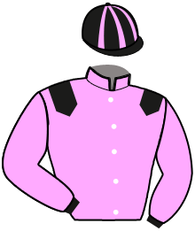 JERSEY BLEUE