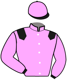 MISTER JENILOU