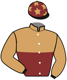 MINA DE BASSIERE