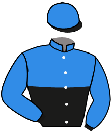 GRAN BISMARCK